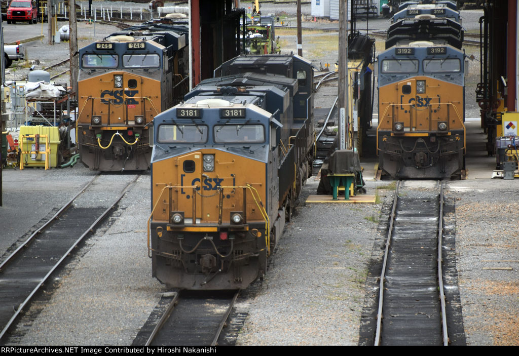 CSX3181